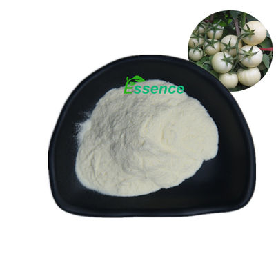 Bột chiết xuất cà chua trắng Solanum Lycopersicum cấp thực phẩm tự nhiên 10:1 20:1