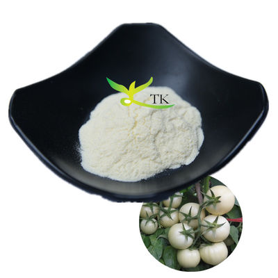 Bột cà chua trắng Solanum Lycopersicum tự nhiên 100% bán chạy 10:1 20:1
