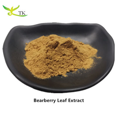Chiết xuất lá Bearberry tự nhiên, Chiết xuất lá Arctostaphylos Uva Ursi dạng bột