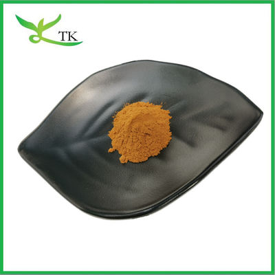 Chiết xuất thực vật tự nhiên Prunella Vulgaris chiết xuất tự chữa lành / chữa lành tất cả chiết xuất bột cho trà thảo dược