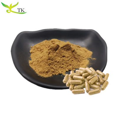 TCM tự nhiên Chiết xuất Jie Geng chiết xuất rễ hoa bong bóng chiết xuất rễ Platycodon