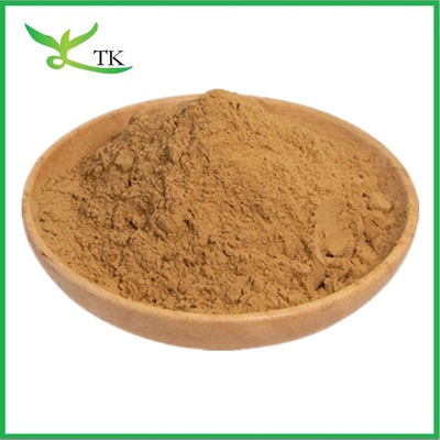 Chiết xuất rễ cây Maral tự nhiên (Rhaponticum Carthamoides) dạng bột