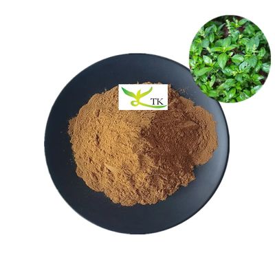 Chiết xuất Kalmegh TCM tự nhiên Andrographis Paniculata chiết xuất bột