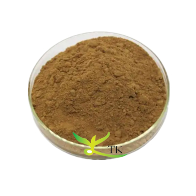 Giá bán buôn Mẫu miễn phí Chiết xuất Trà xanh Saponin Chiết xuất Camellia Sinensis Saponin Trà số lượng lớn