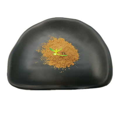 Nấm tự nhiên Chăm sóc sức khỏe Agaricus Blazei chiết xuất bột Agaricus Blazei chiết xuất nấm bột