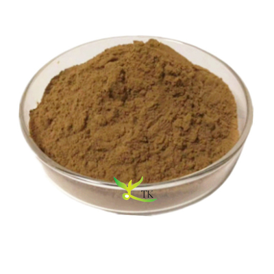 Thực phẩm bổ sung thảo dược tự nhiên chiết xuất từ cây Black Cohosh tỷ lệ 10:1 và 20:1 dạng bột nang