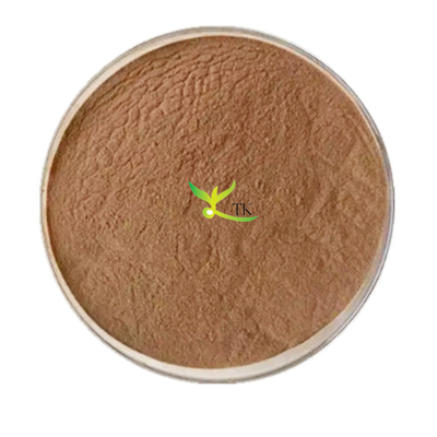 Chiết xuất lá Ginkgo Biloba tự nhiên Chiết xuất lá Ginkgo Flavonoid 24% Lactone 6%