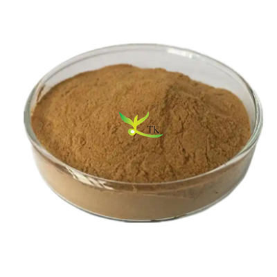 Dầu chiết xuất Lysimachia Christina tự nhiên 10:1