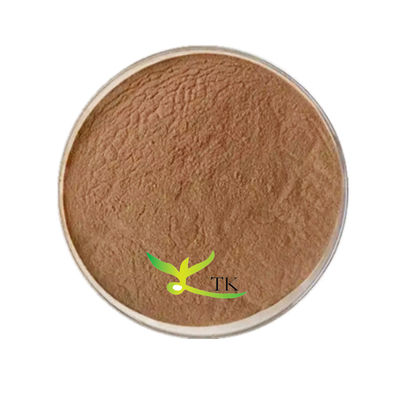 Cung cấp từ nhà máy Chiết xuất hoa trà Nhật Bản tự nhiên Chiết xuất trà Camellia dạng bột