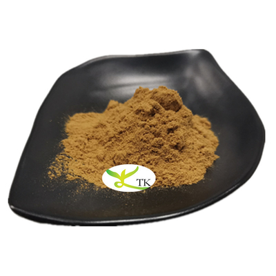 Bột chiết xuất từ thảo dược truyền thống Anemarrhenae Asphodeloides (Rot)