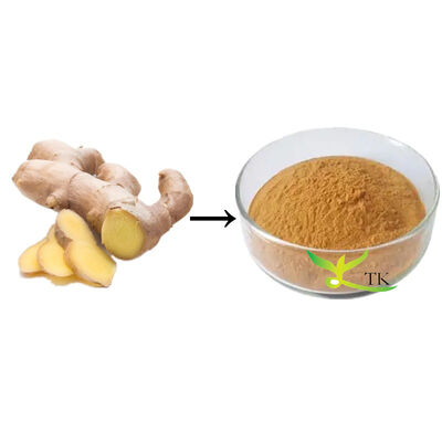 100% chiết xuất Ginger tự nhiên bột chiết xuất gốc gừng 5% Gingerols