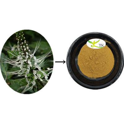 Natural Orthosiphon Aristatus Extract Orthosiphon Extract Extract Bột làm sạch Calculi