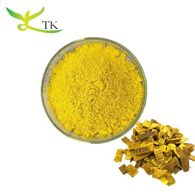 Chiết xuất vỏ cây Hoàng Bá (Phellodendron Amurense) TCM tự nhiên, bột Berberine HCL