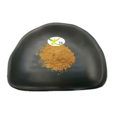 Giá bán buôn Natural Paullinia Cupana Seed Extract Bột hòa tan trong nước