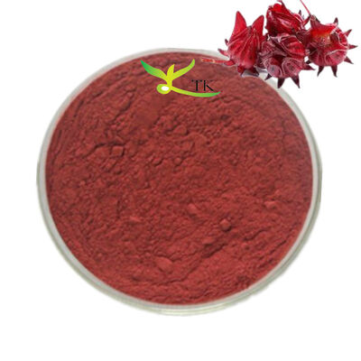 Lớp thực phẩm tinh khiết, tự nhiên, khô Roselle Hibiscus Flower Extract Price Hibiscus Flower Powder