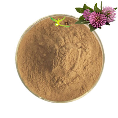 Chất lượng cao Red Clover chiết xuất bột 8% Isoflavones Red Clover chiết xuất cho phụ nữ Sức khỏe