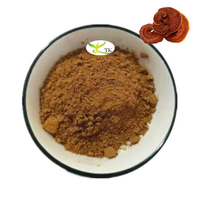 Nhập xưởng bán buôn Natural Lingzhi nấm chiết xuất bột nấm Reishi chiết xuất bột polysaccharides