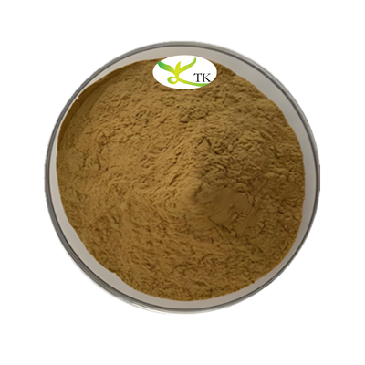 Chất chiết xuất thảo mộc Trung Quốc Andrographis Paniculata Andrographolide 20% 98% CAS 5508-58-7 Andrographolide