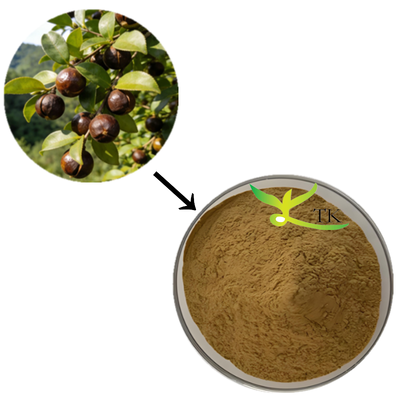 Giá bán buôn 100% bột chiết xuất Camellia Sinensis tự nhiên Chiết xuất saponin trà cho mỹ phẩm