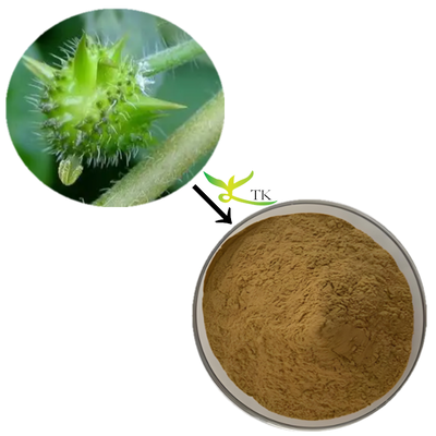 Giá bán buôn chất lượng cao Tribulus Terrestris chiết xuất bột Tribulus Terrestris viên nang