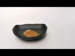 Bột chiết xuất thảo dược