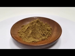 Giá bán buôn 100% Natural Coptis Chinensis Extract 10:1 20:1 Trong kho