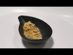 Dầu chiết xuất thực vật tự nhiên Nấm chiết xuất bột