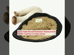 Chất liệu chế biến thực phẩm Nấm tự nhiên Polysaccharide bột Coprinus Comatus Extract