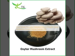 Chất lượng thực phẩm Pleurotus Ostreatus chiết xuất bột nấm Osyter chiết xuất polysaccharides 10%