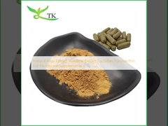 Chiết xuất tảo tự nhiên chiết xuất wakame fucoidan fucoxanthin cho các chất bổ sung chăm sóc sức khỏe