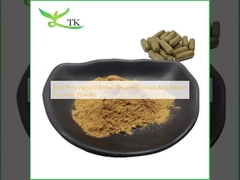 Giá tốt nhất chiết xuất tảo biển màu nâu tự nhiên chiết xuất tảo kelp bột fucoidan
