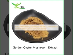 Chất bổ sung nấm tự nhiên Pleurotus Citrinopileatus Golden Oyster Nấm chiết xuất bột