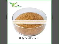 Chất liệu thực phẩm tự nhiên Chất chiết xuất Basil Thánh bột Chất chiết xuất lá Basil Thánh bột