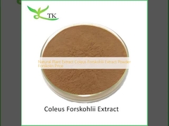 Chiết xuất thực vật tự nhiên Coleus Forskohlii chiết xuất bột Forskolin Giá
