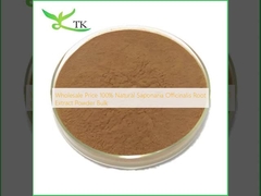 Giá bán buôn 100% chiết xuất rễ Saponaria Officinalis tự nhiên