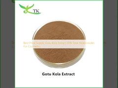 Giá tốt nhất cung cấp chiết xuất Gotu Kola 20% tổng số Asiaticosides cho mỹ phẩm