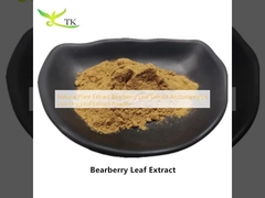 Chiết xuất lá Bearberry tự nhiên, Chiết xuất lá Arctostaphylos Uva Ursi dạng bột