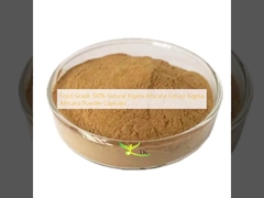Chất lượng thực phẩm 100% Kigelia Africana Extract tự nhiên