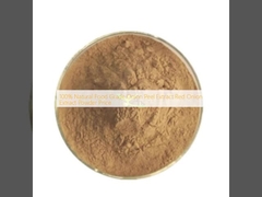 Giá bột chiết xuất vỏ hành tây cấp thực phẩm tự nhiên 100% chiết xuất hành tây đỏ