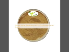 Bổ sung thảo dược tự nhiên 10:1 20:1 Dry Ginger Extract Powder