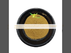 Bột chiết xuất từ quả Corni Dogwood (Táo tây) Officinalis Fructus 100% tự nhiên