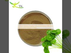 Nhà máy cung cấp 17 năm Chiết xuất Gotu Kola 10% Tổng số Asiaticoside Dạng bột với số lượng lớn