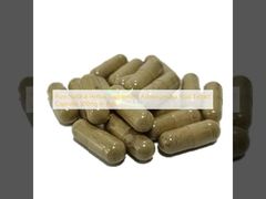 Chất bổ sung thảo dược tự nhiên tinh khiết chiết xuất rễ Ashwagandha viên nang 500mg