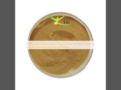 Chiết xuất thực vật tự nhiên chất lượng cao, bột chiết xuất hồng trắng, chiết xuất quả/lá hồng