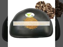 Bột chiết xuất nấm Maitake Grifola Frondosa tự nhiên 100% Polysaccharides dùng cho thực phẩm bổ sung chăm sóc sức khỏe