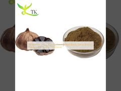 Giá bán buôn Natural Fermented Black Garlic Extract Powder SAC S-allyl-l-cysteine
