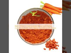 Giá tốt nhất Loại thực phẩm Beta-carotene Chiết xuất cà rốt 10% Beta Carotene Còn hàng