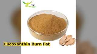 Fucoxanthin 60% bột chiết xuất rong biển màu nâu