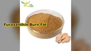 Fucoxanthin 60% bột chiết xuất rong biển màu nâu