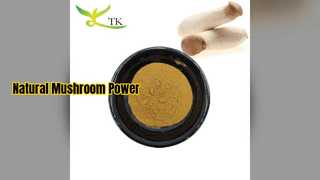 Chiết xuất nấm hàu tăng cường khả năng miễn dịch và sức mạnh não bộ